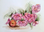 Peonies